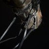 Ogłowie anatomiczne munsztukowe Ultrasoft AMY - Kieffer 